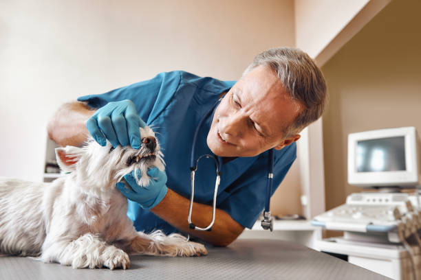 Best Emergency Treatment for Toothache in Grantville, GA